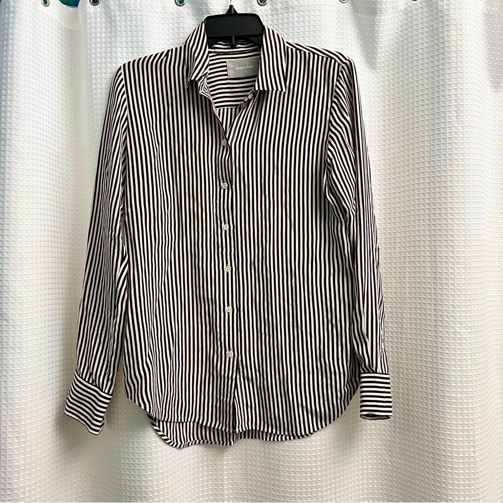 Everlane Washable Relaxed Silk Shirt